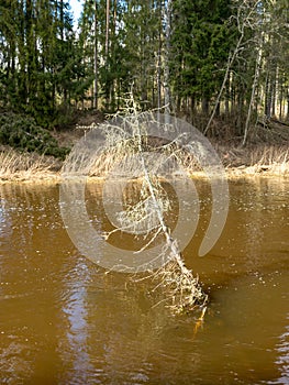 River view in early spring, beautiful cloud reflections in water