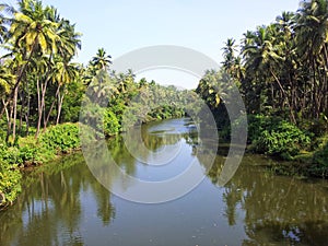 River view - Goa,India