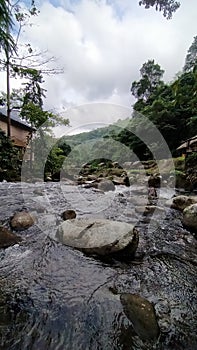 River view in junggle