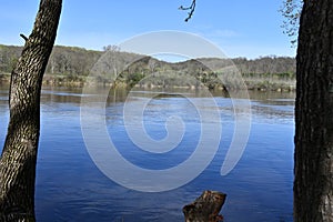 River Views from Between Trees on a Bright Spring Day