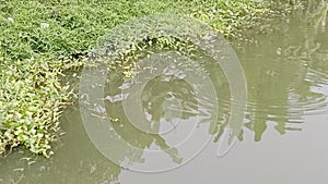 River, river vilage, water, clean  natural