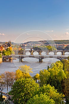 River Vltava with bridges in Prague, trees in the foreground, Czech Republic