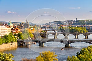 River Vltava with bridges in Prague, trees in the foreground, Czech Republic