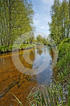 River Vltava in the national park Sumava, Europe