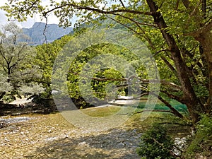 River Voidomatis in summer people for pick nick under the green trees Greece