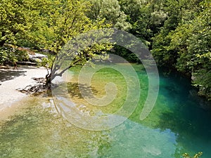 River Voidomatis in summer people for pick nick under the green trees Greece