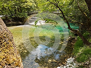 River Voidomatis in summer people for pick nick under the green trees Greece