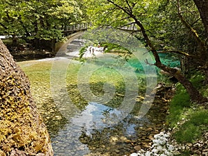River Voidomatis in summer people for pick nick under the green trees Greece photo