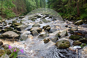 River Vydra in Sumava