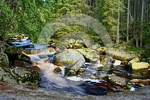 River Vydra in Sumava