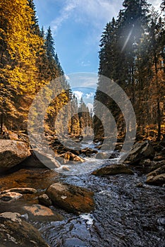 river Vydra in Sumava mountains