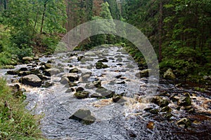 River Vydra in Sumava