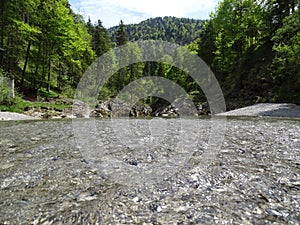 River Walchen near Sylvenstein lake