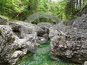 River Walchen near Sylvenstein lake