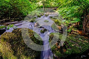 River Warme Bode in Braunlage, Germany