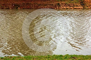 Pozadí říční vody s vlnami a vlnky. Řeka Nitra na Slovensku