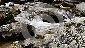 River water flowing in a close view with pebbles