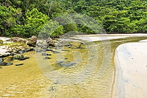 River with water running over the sand of the beach and along the forest towards the sea in Trindade