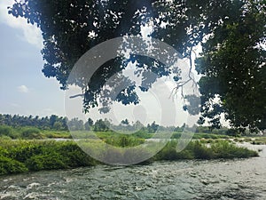 River and water stream with green background