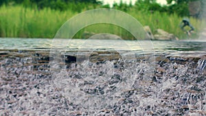 River waterfall. Clear river water flowing over stone cascade in slow motion