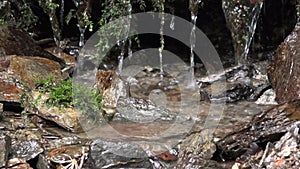 River Waterfall in Closeup in Mountains, Clear Spring Fresh Water, Transparent Alpine Stream, Crystalline Brook, Crystal Drops