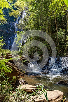 River and waterfall through dense rainforest vegetation