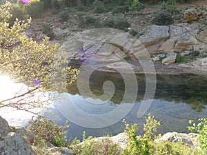 Riverl scene - nature