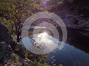 Riverl scene - nature