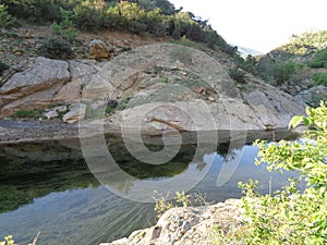 Riverl scene - nature