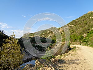 Riverl scene - nature