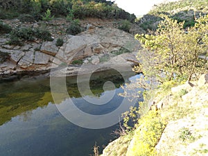 Riverl scene - nature