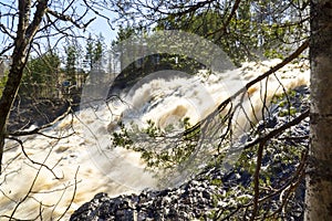 River waterfall in wild forest