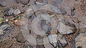 River wet stones texture background