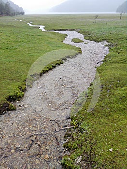 A river on a wetland grassland