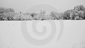 River wetlands with snow cover along the Pegnitz river