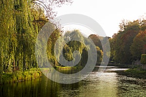 The River Wey,Guildford, Surrey.