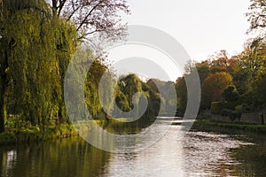 The River Wey,Guildford, Surrey.