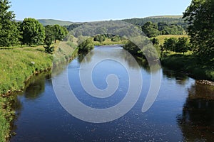 River Wharfe from Bolton Bridge