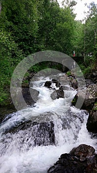 River through which the water runs wildly