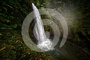River with white stream, rainy day, green vegetation in national park. La Paz Waterfall Gardens, with green tropical forest,