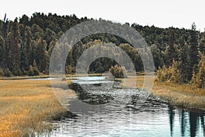 River winding thorugh a meadow to a woodland in Alaska photo