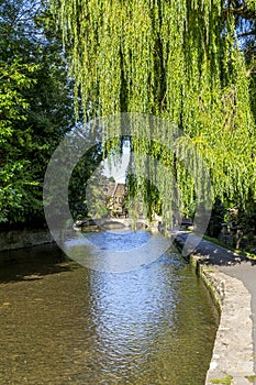 The river Windrush in Bourton-on-the-Water