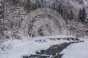 River in Winter