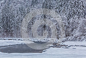 River in Winter