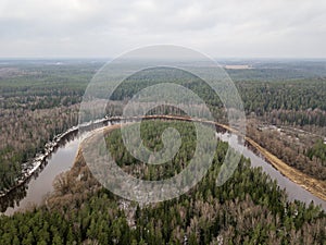 River in winter forest with green trees from above. Aerial drone image of river Gauja in Latvia
