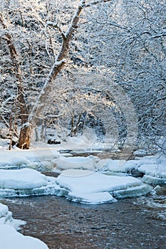 River in winter