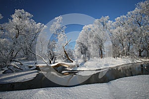 River on a winter snowy day. Lubelszczyzna