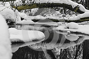 River in winter with white snow flowing