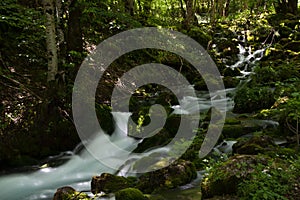 River into the woods pictured on long exposure so the water became silky.