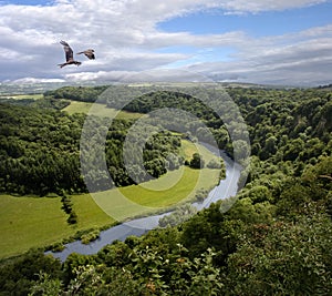 The River Wye photo